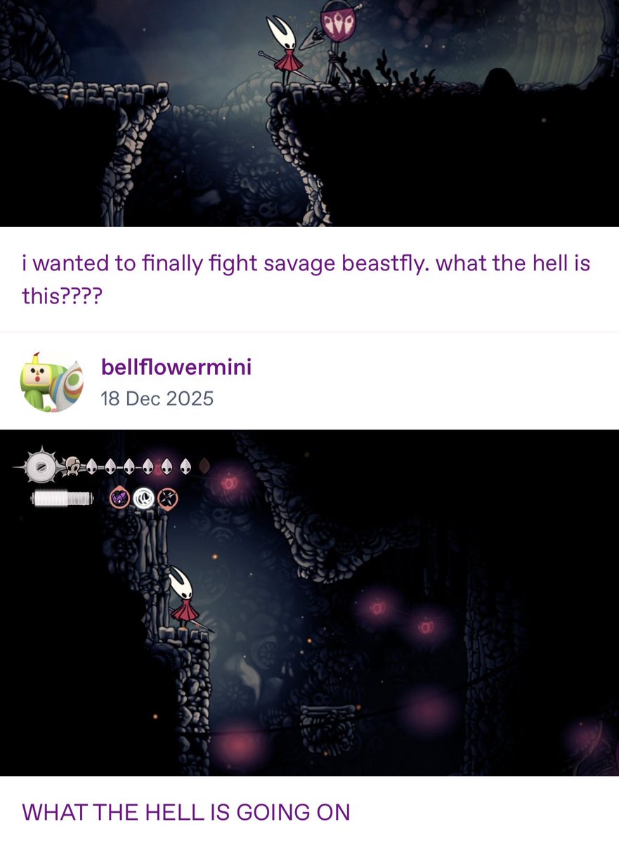 bellflowermini🍹🌦️🌱 tweet media