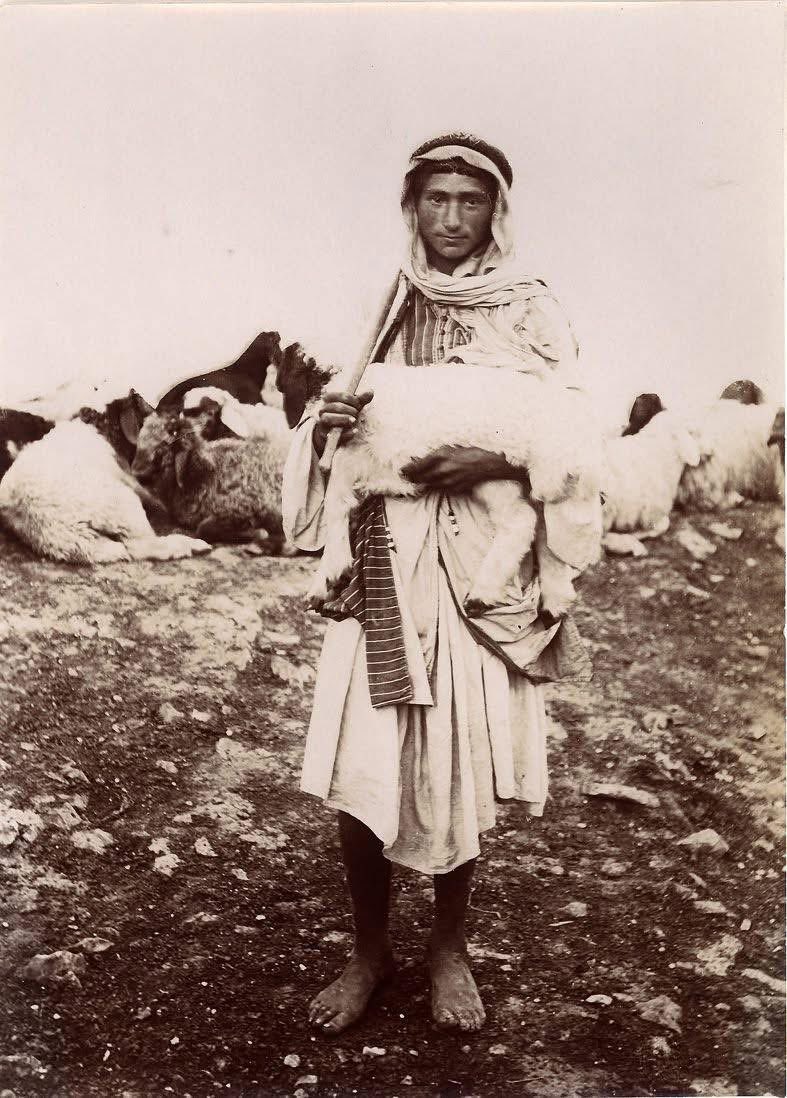 Palestinian shepherd boy carrying a lamb, 1890s.
