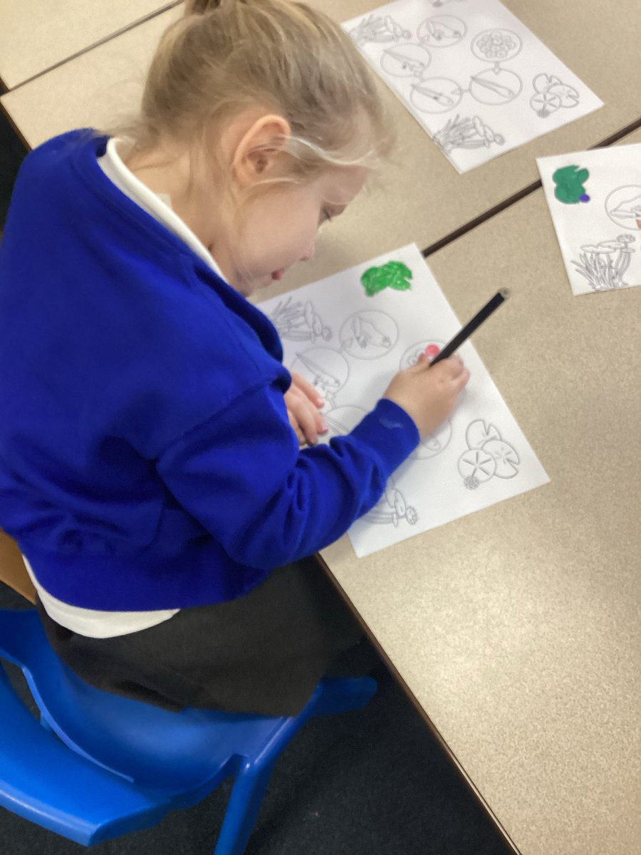 Highfield St. Matthews tweet media