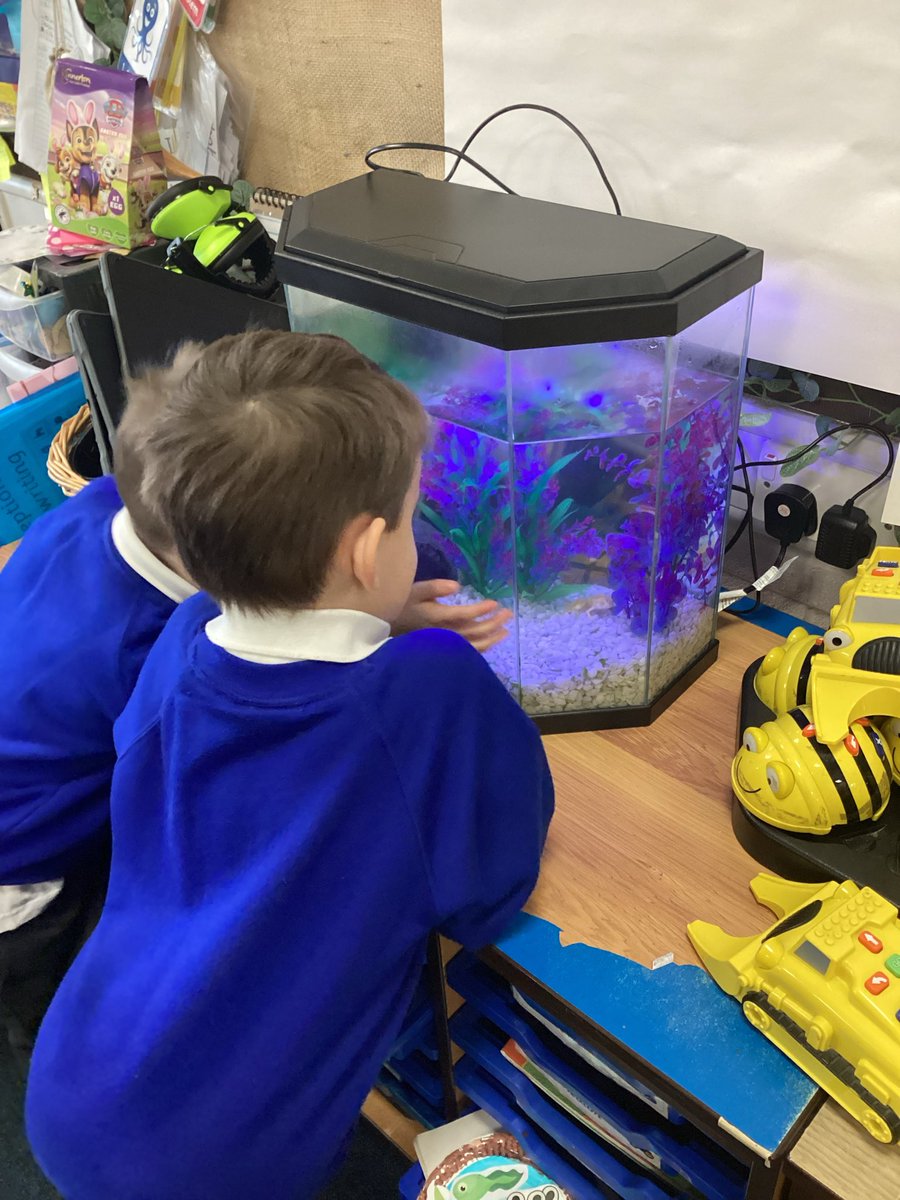 Highfield St. Matthews tweet media