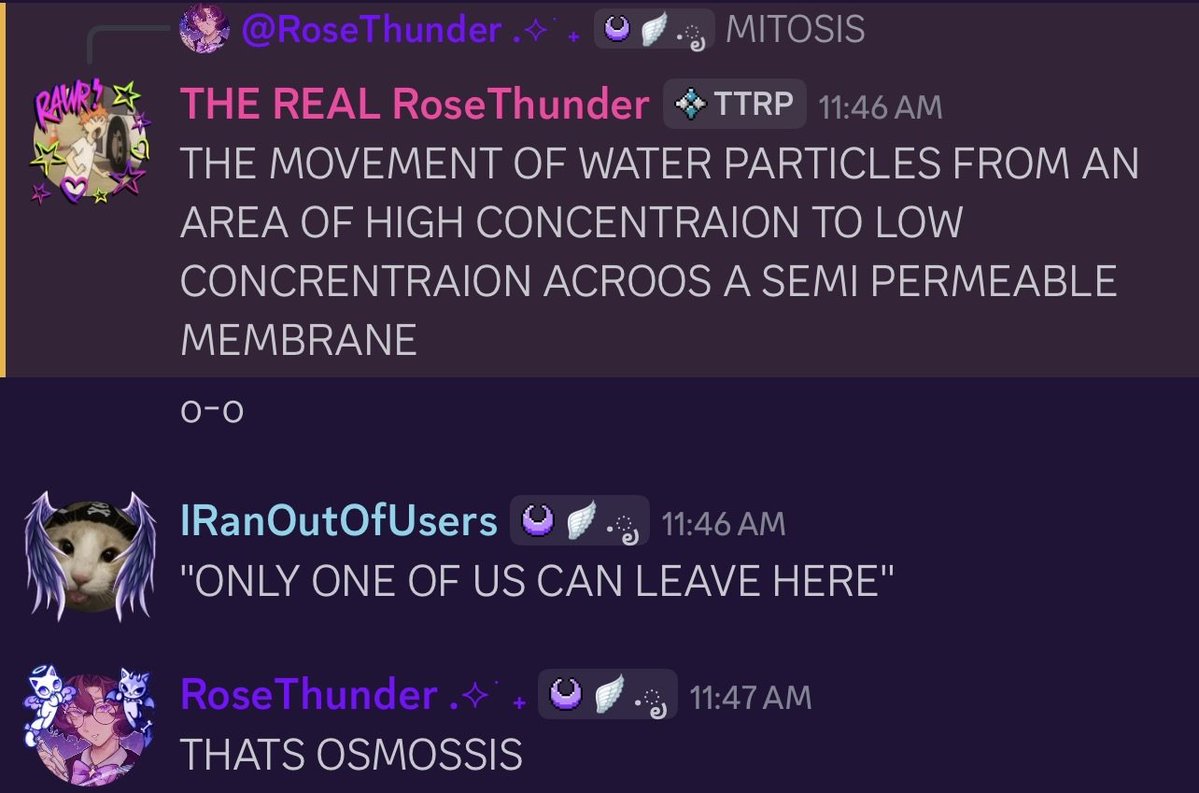 RoseThunder 💜 tweet media