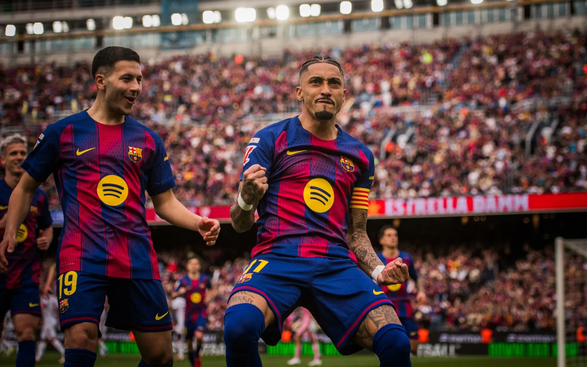 Míster Seitán tweet media