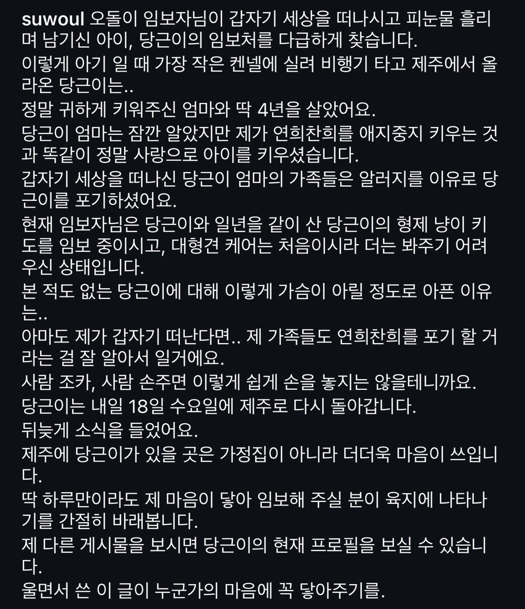 水月 서울 수월(가족 찾는 오순이) tweet media