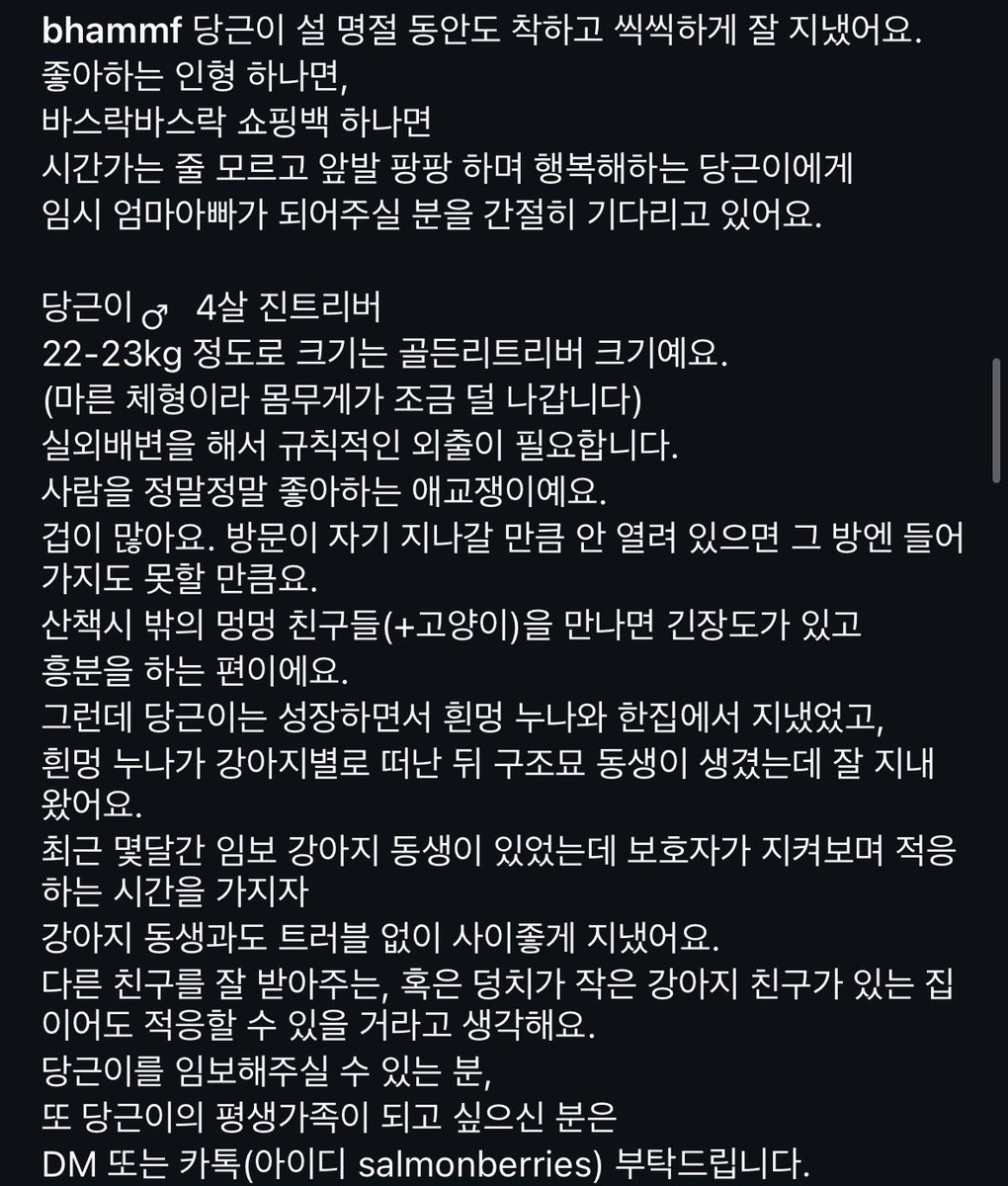 水月 서울 수월(가족 찾는 오순이) tweet media