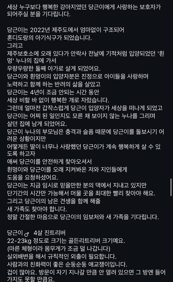 水月 서울 수월(가족 찾는 오순이) tweet media