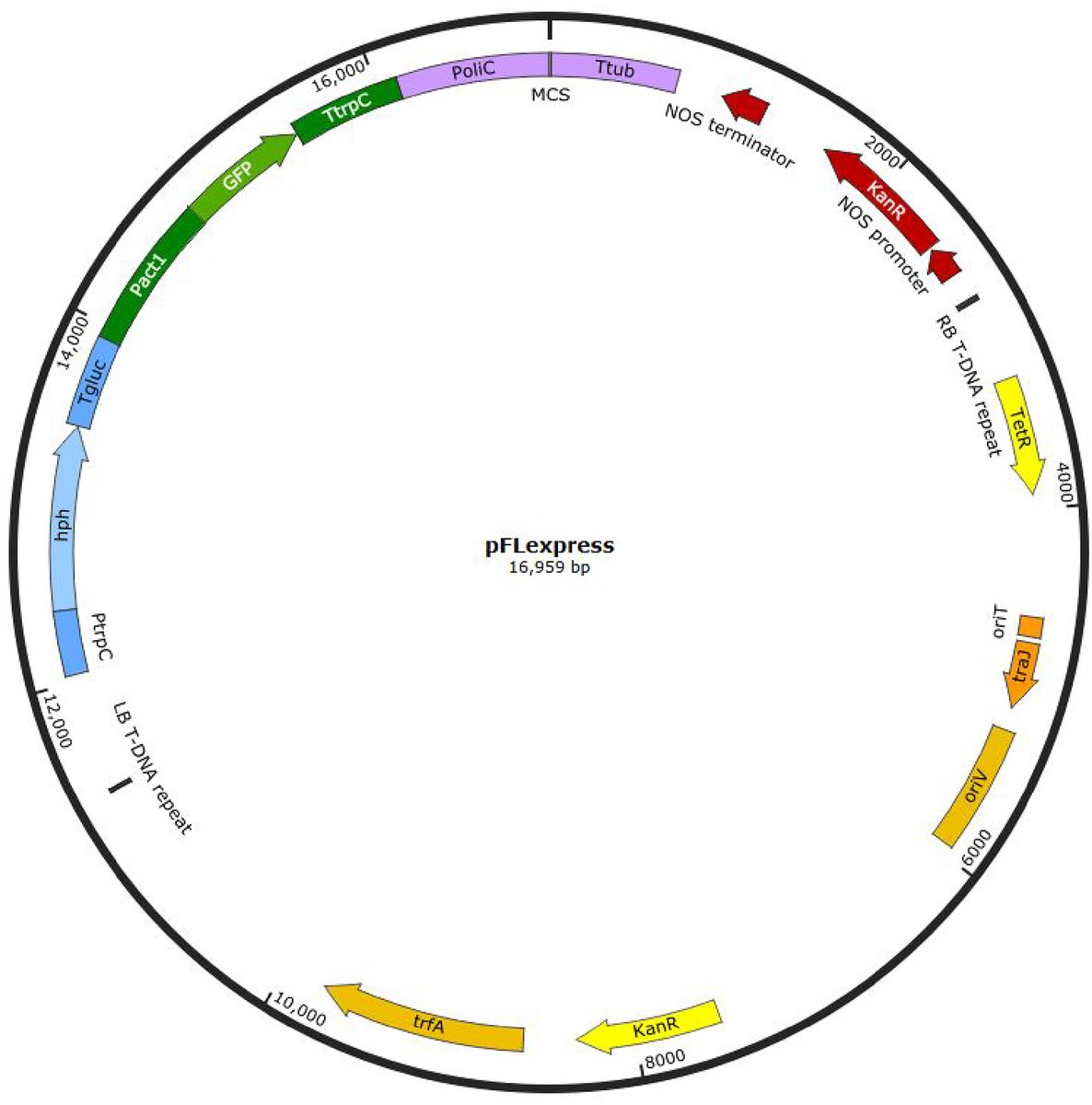 Canadian Journal of Microbiology tweet media