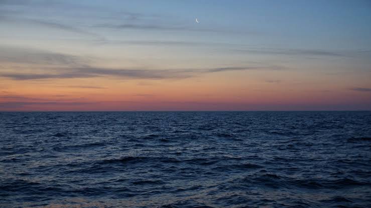 Treemissions tweet media