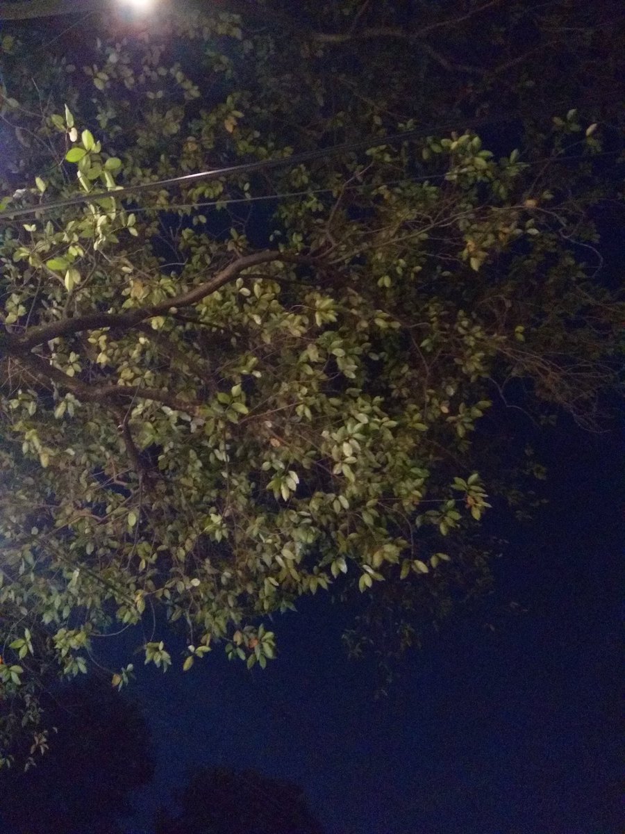 Milka Yuliana tweet media