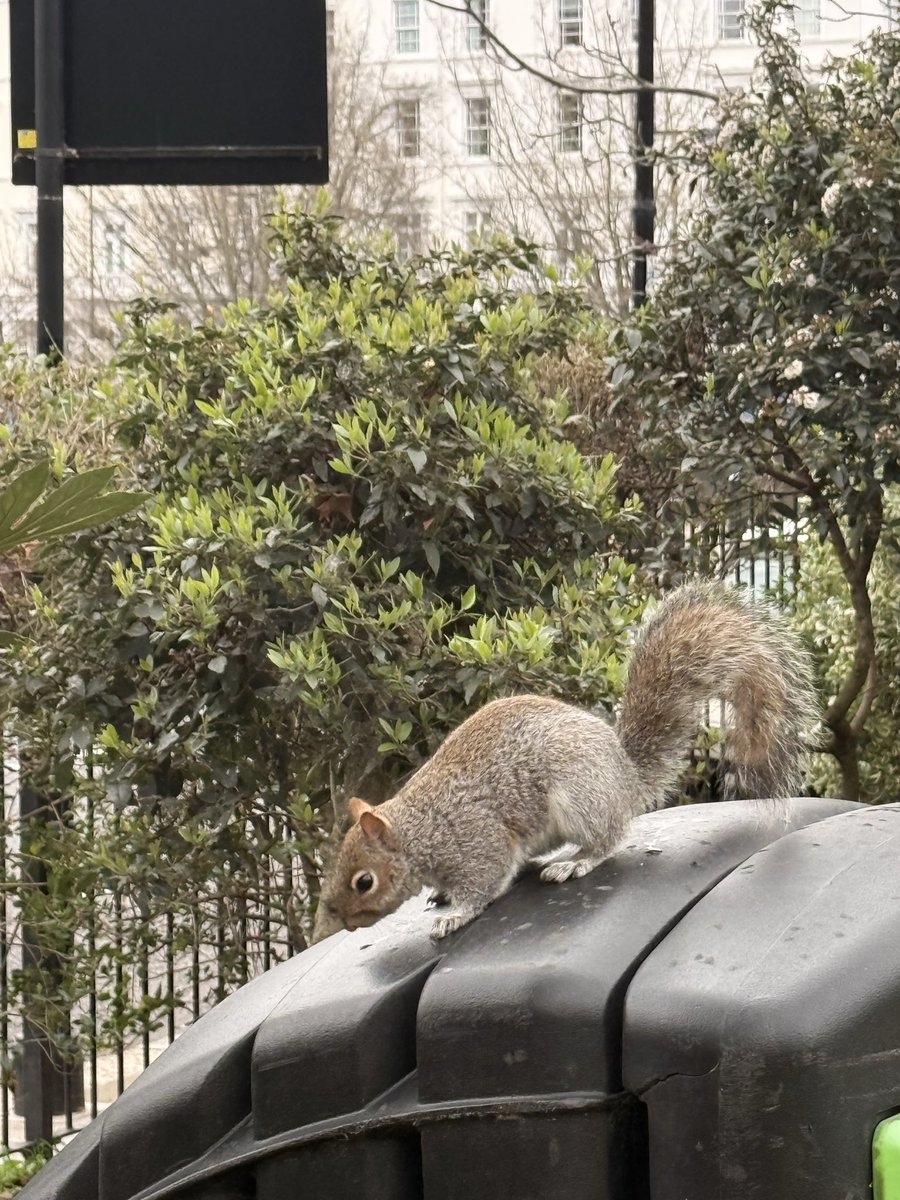 CharlesX tweet media