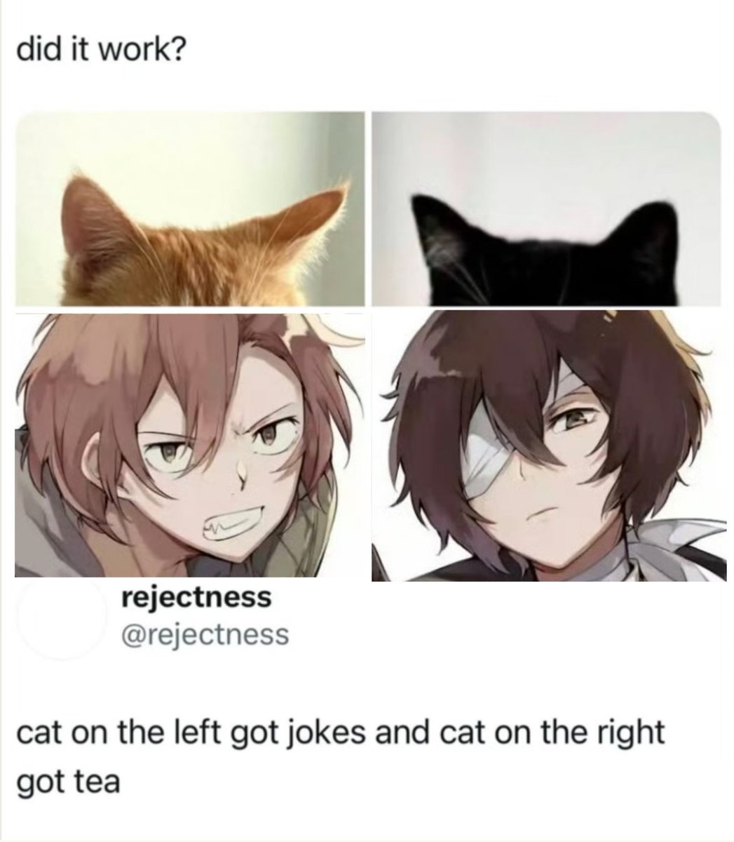 SunriseParabellum tweet media