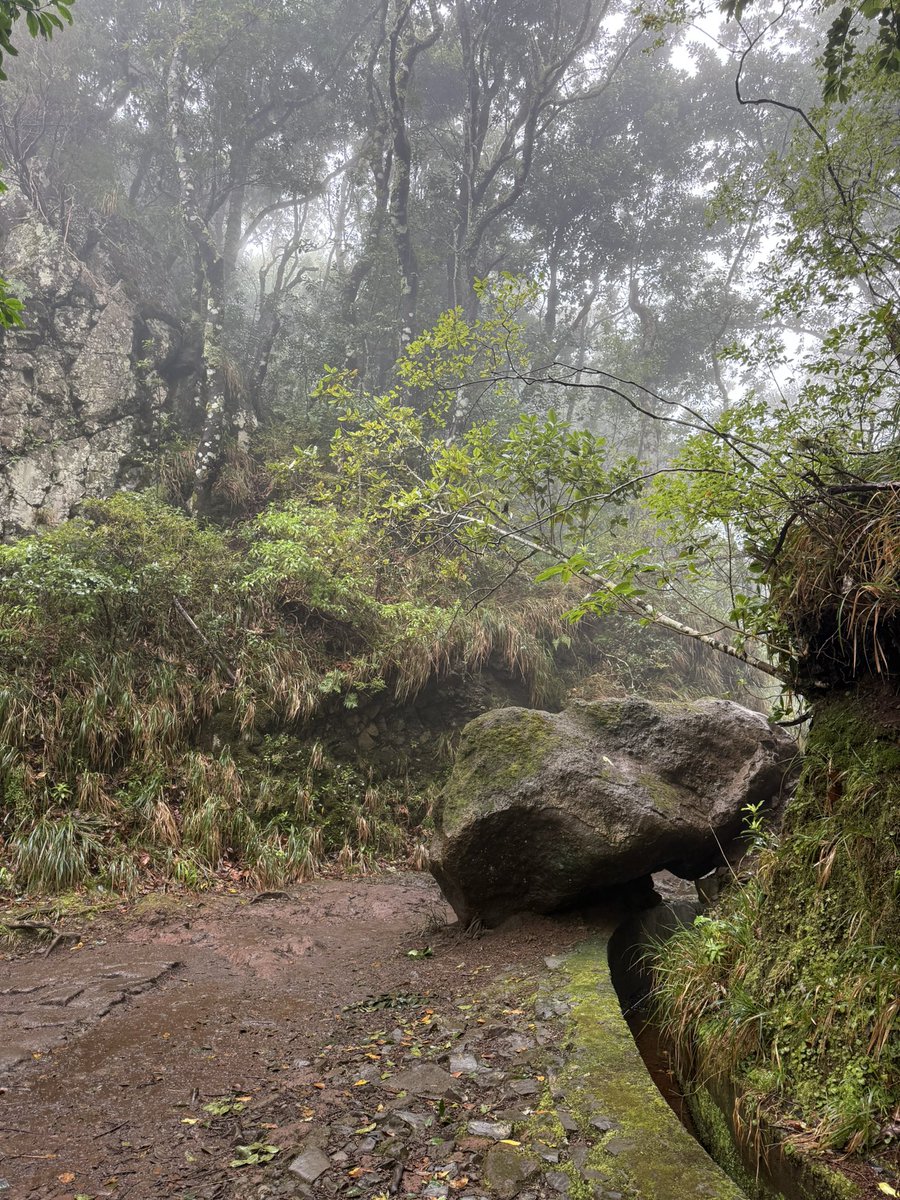 Nya 🇳🇱 tweet media