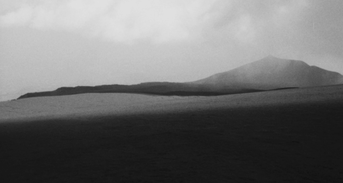 Ozymandias𓆏 tweet media