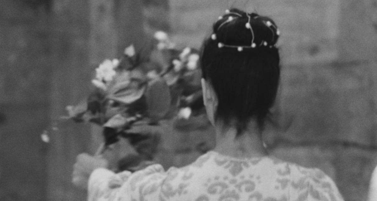 Ozymandias𓆏 tweet media