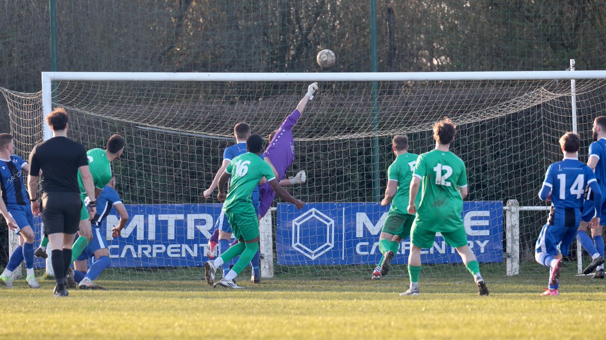 Hardy Scott Photo's tweet media