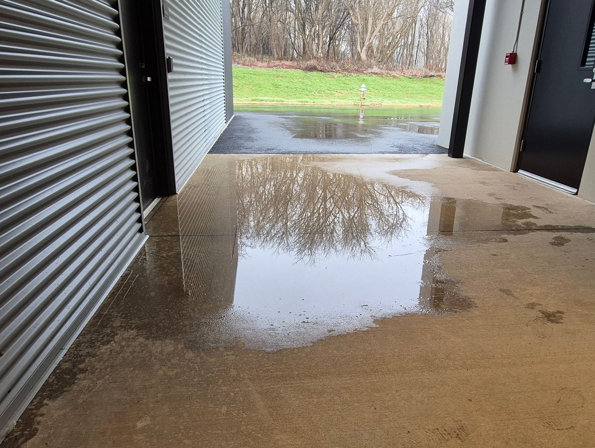 GORA4ORRAU tweet media