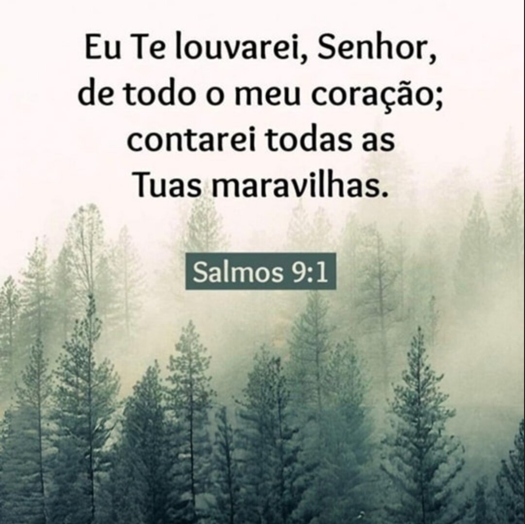 ● Iza ● ﮩ٨ـﮩﮩ٨ـ♡ﮩ٨ـﮩﮩ٨ـ tweet media