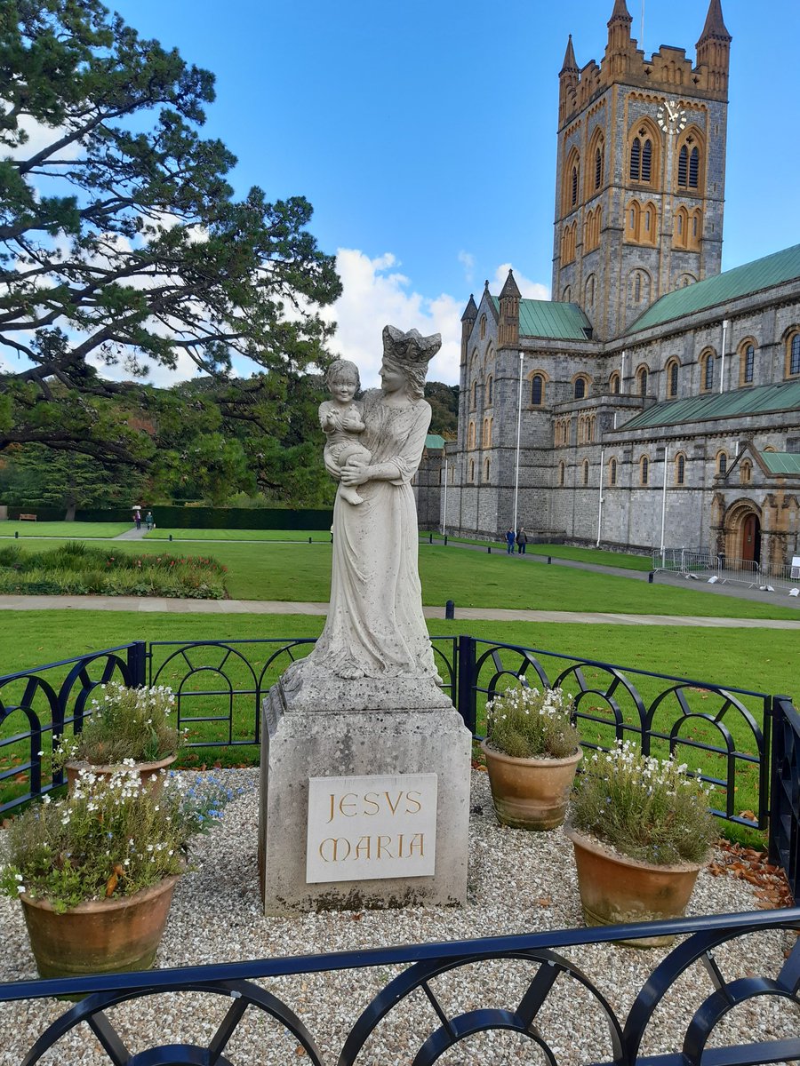 Tracy 💖💙 tweet media