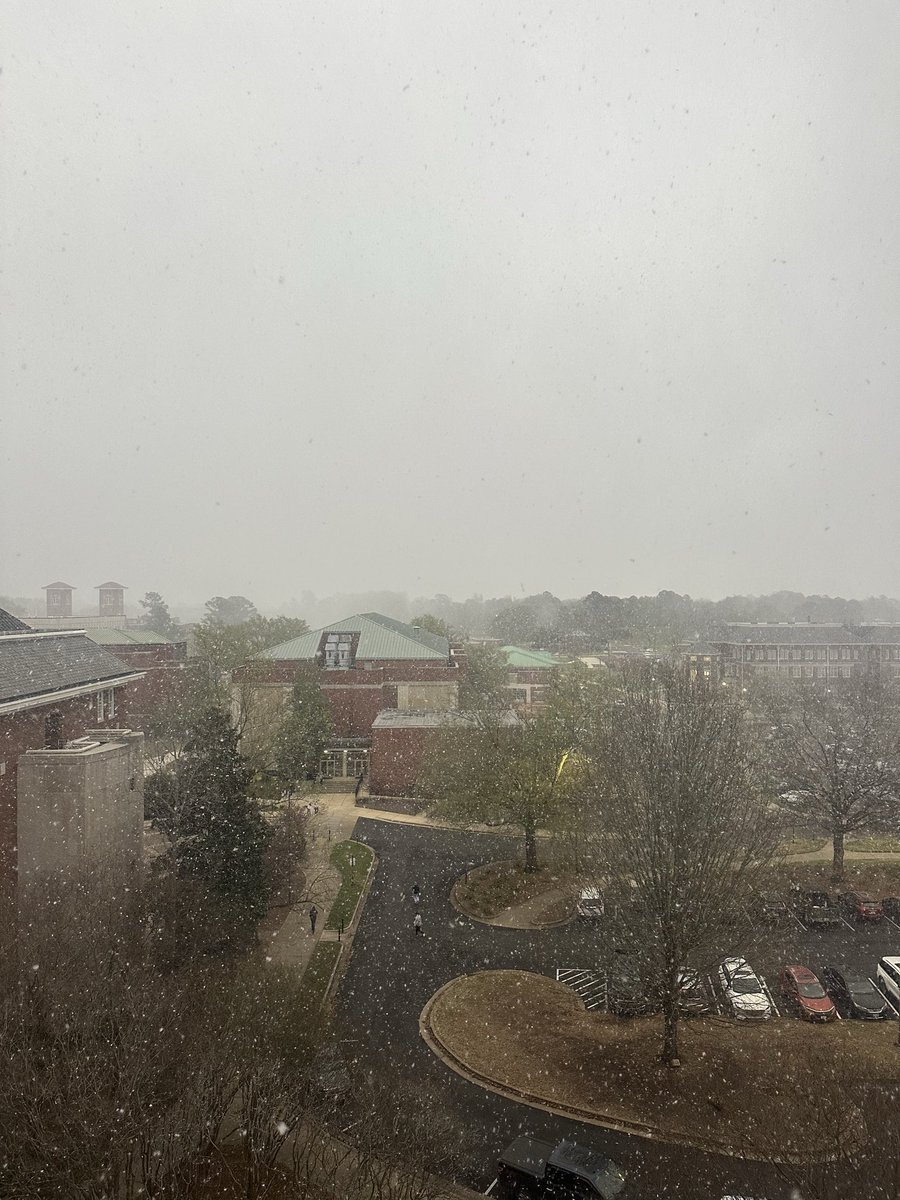 Mississippi State tweet media