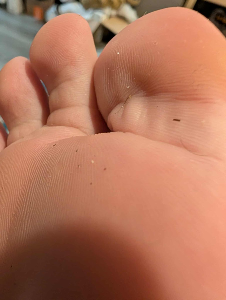 Giantess Pearly the Queen of Vore tweet media