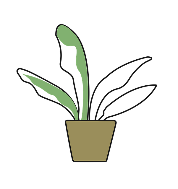 Snap Davis tweet media