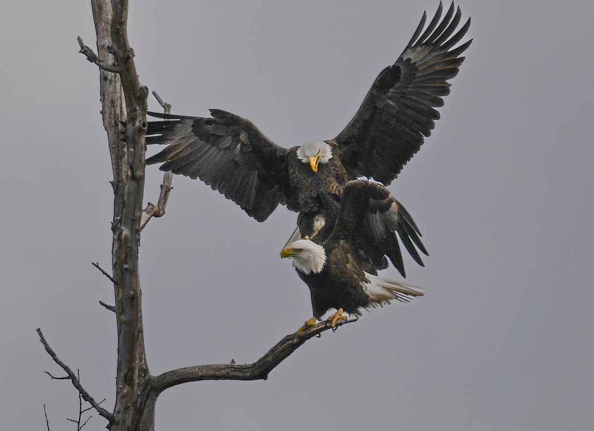 Parameswaran Ponnudurai tweet media
