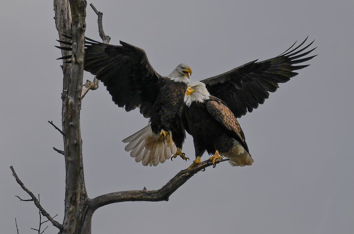 Parameswaran Ponnudurai tweet media