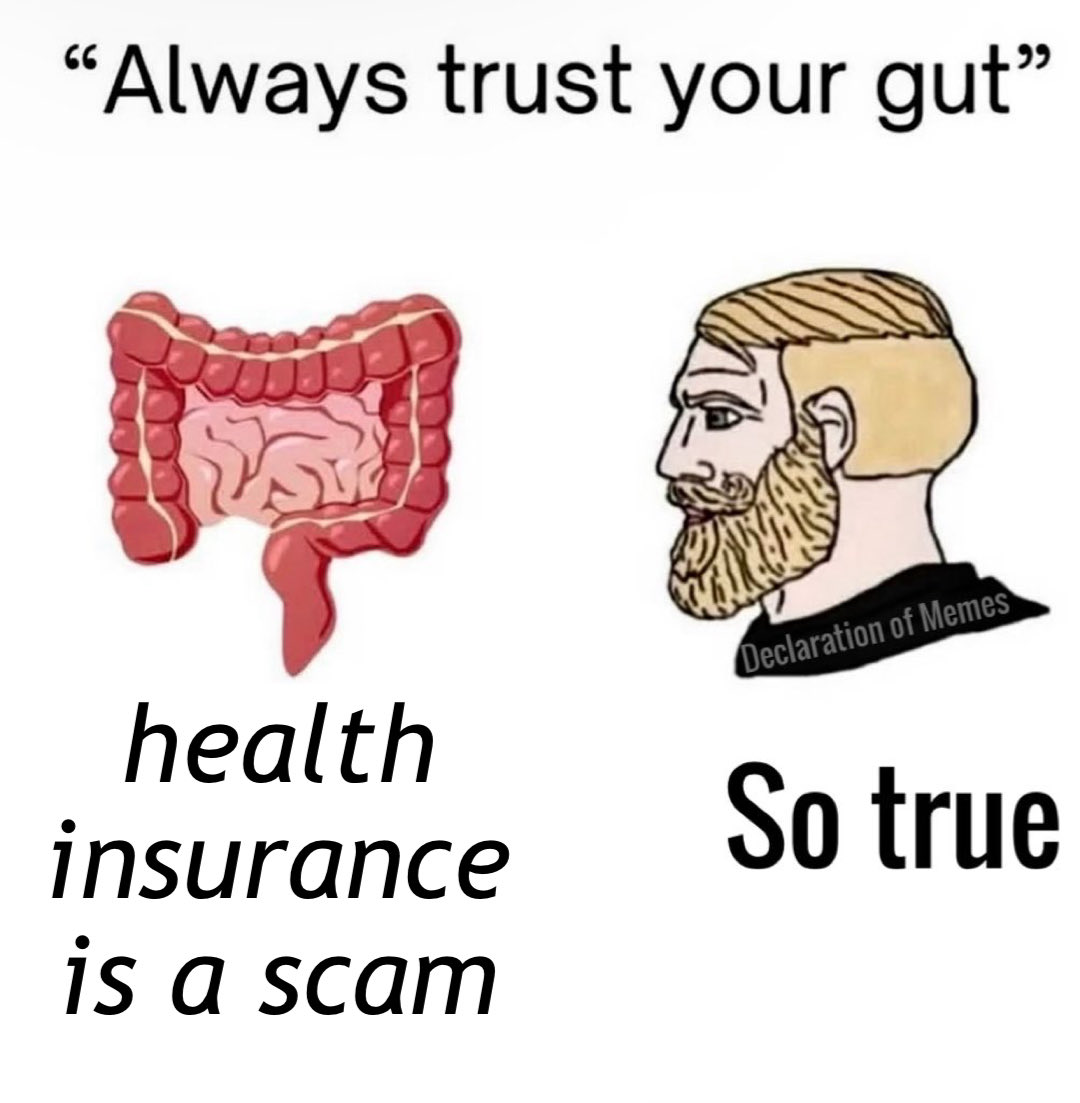 Declaration of Memes tweet media