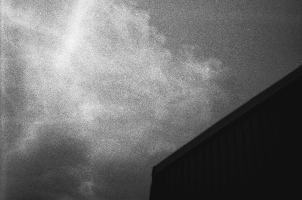 C41Shawn tweet media