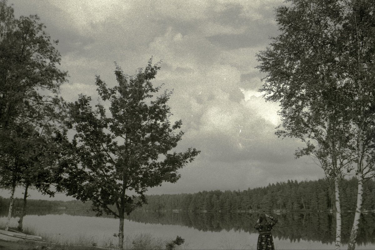 C41Shawn tweet media