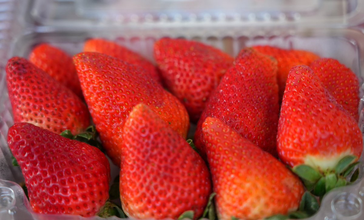 Instituto de Estabilización de Precios (INESPRE) tweet media