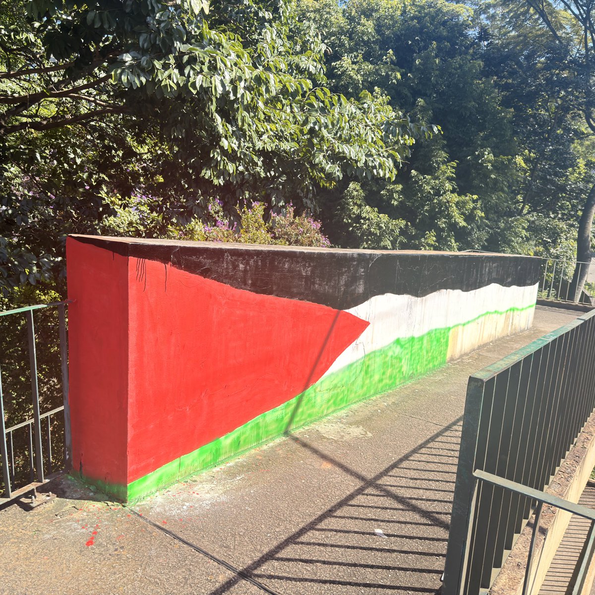 Ana Hering 🐆 tweet media