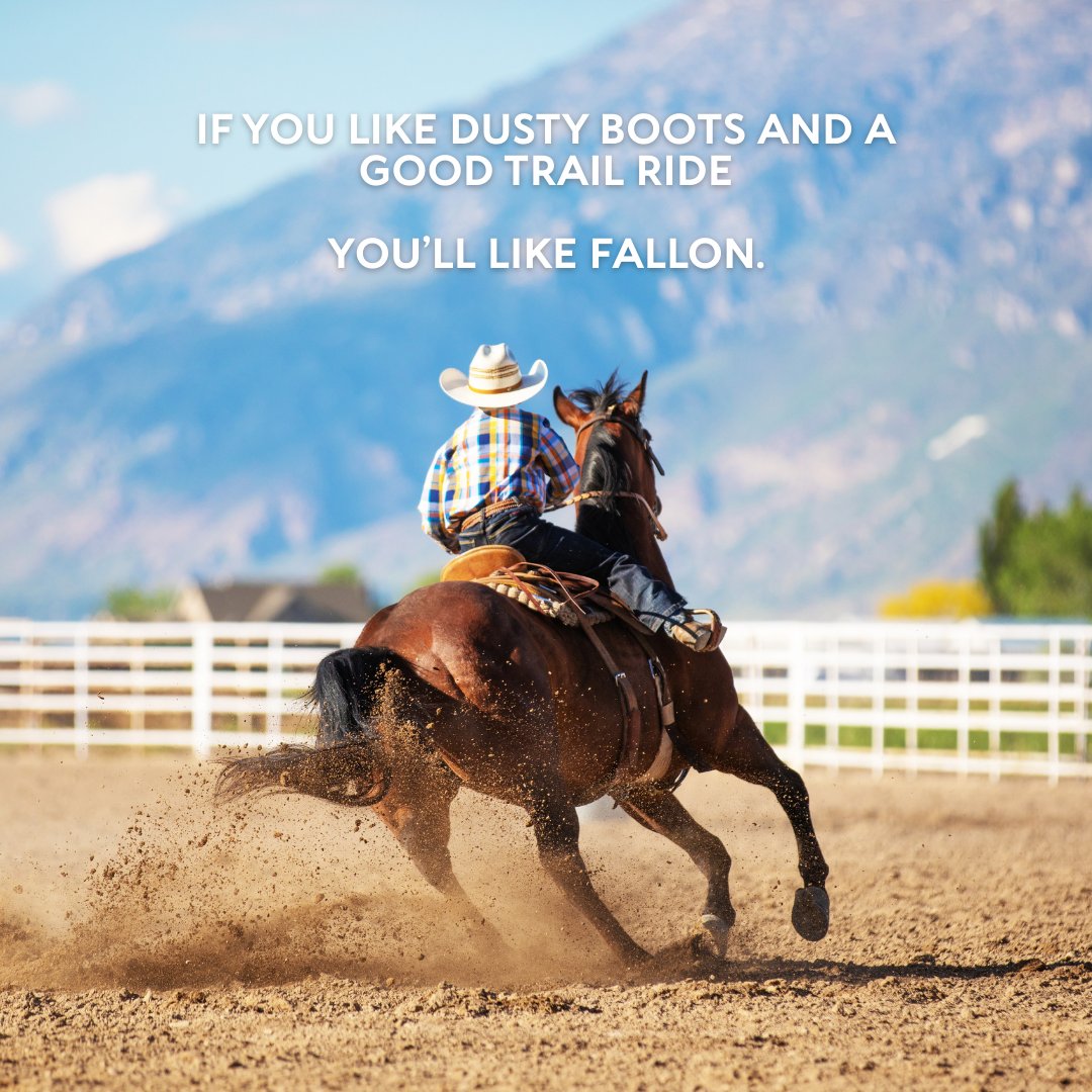 Visit Fallon tweet media