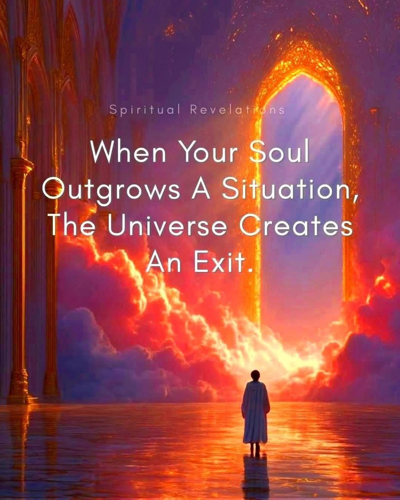 Shamz Tabrizi tweet media