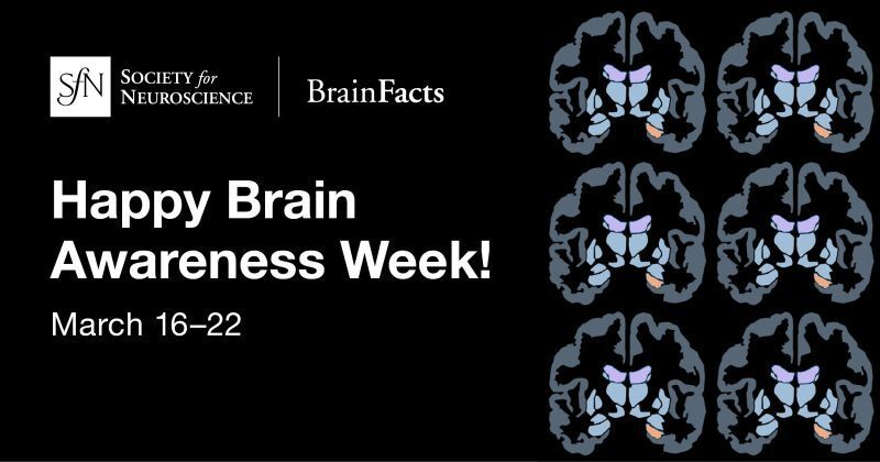 Neuromics tweet media