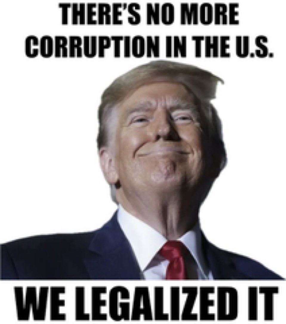 P (Lady P of Soggy Bottom) 📎🇮🇪 🐟🇺🇦🇪🇺💙😷 tweet media