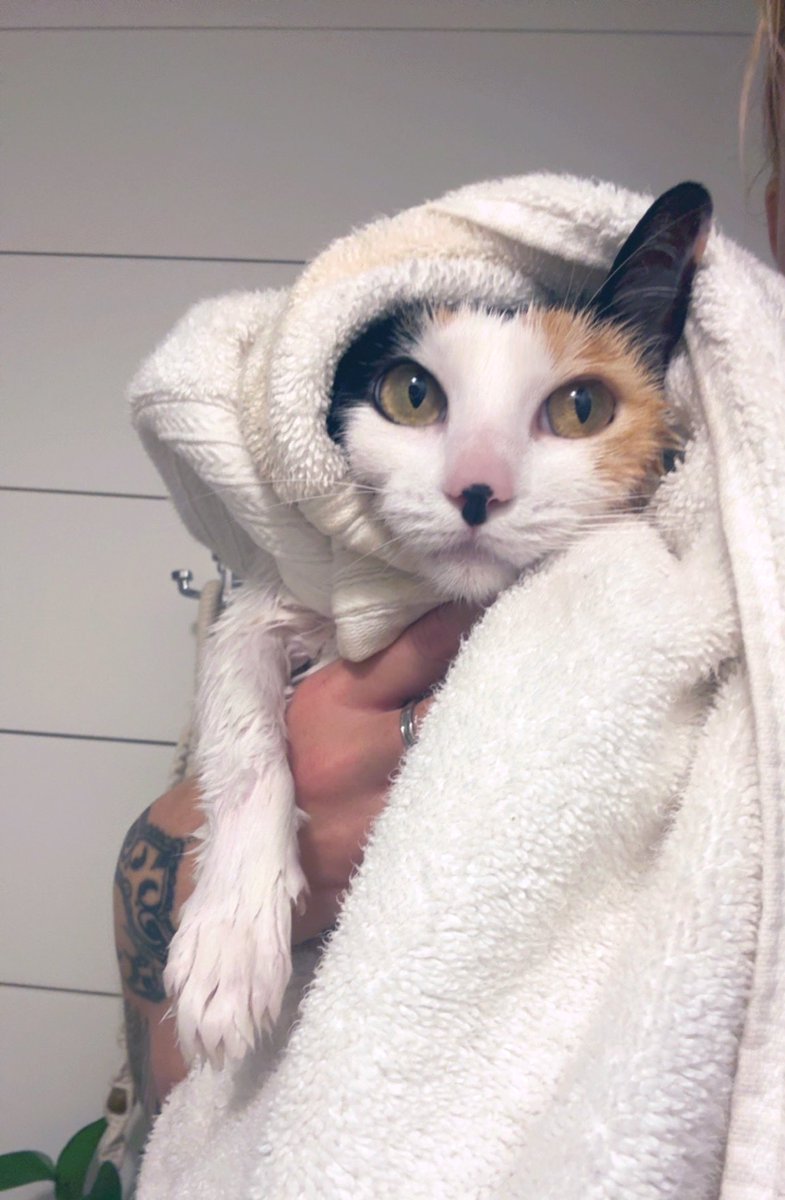 ✨Payton Kelly🇺🇸✨ tweet media