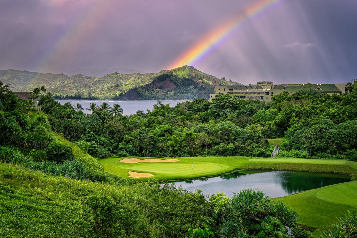 GoGolfKauai.com tweet media