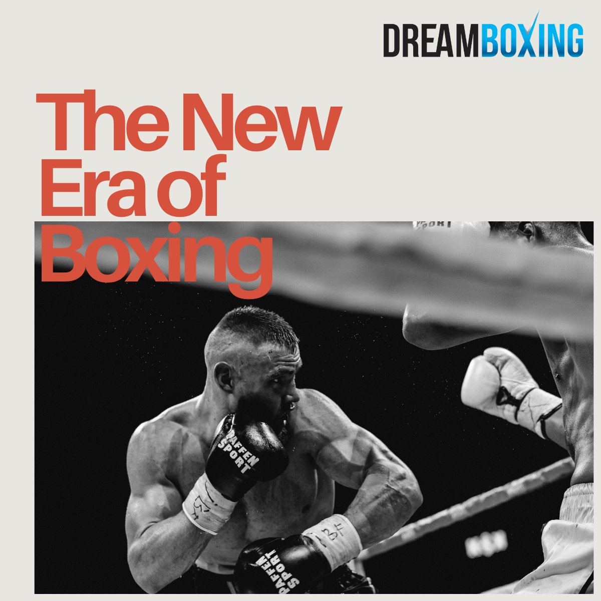 DREAM BOXING Series tweet media