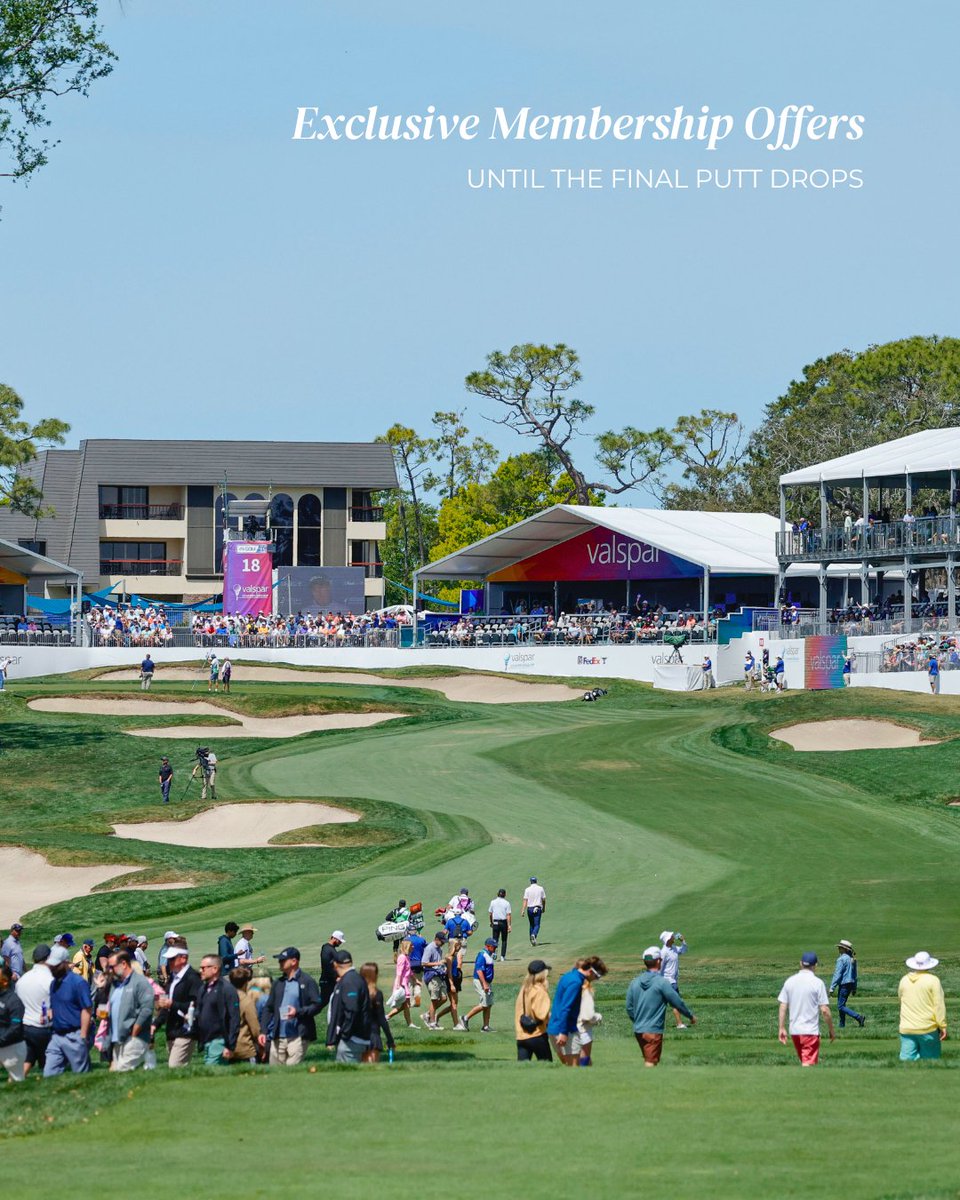 Innisbrook Resort tweet media