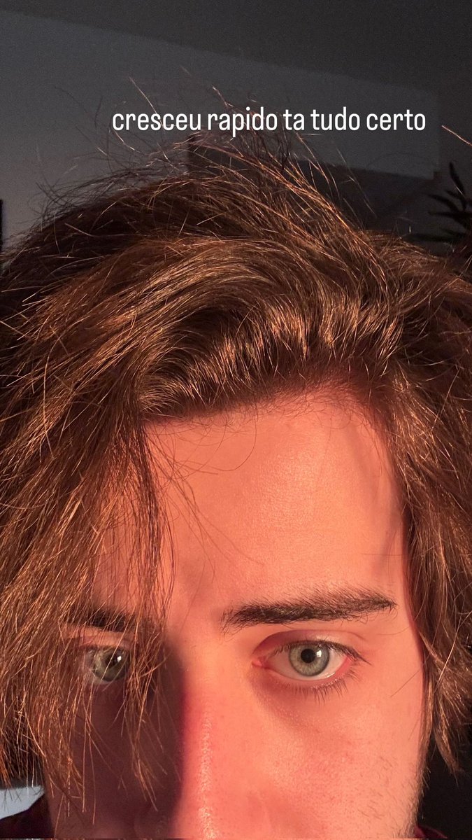 Cellbit Updates tweet media