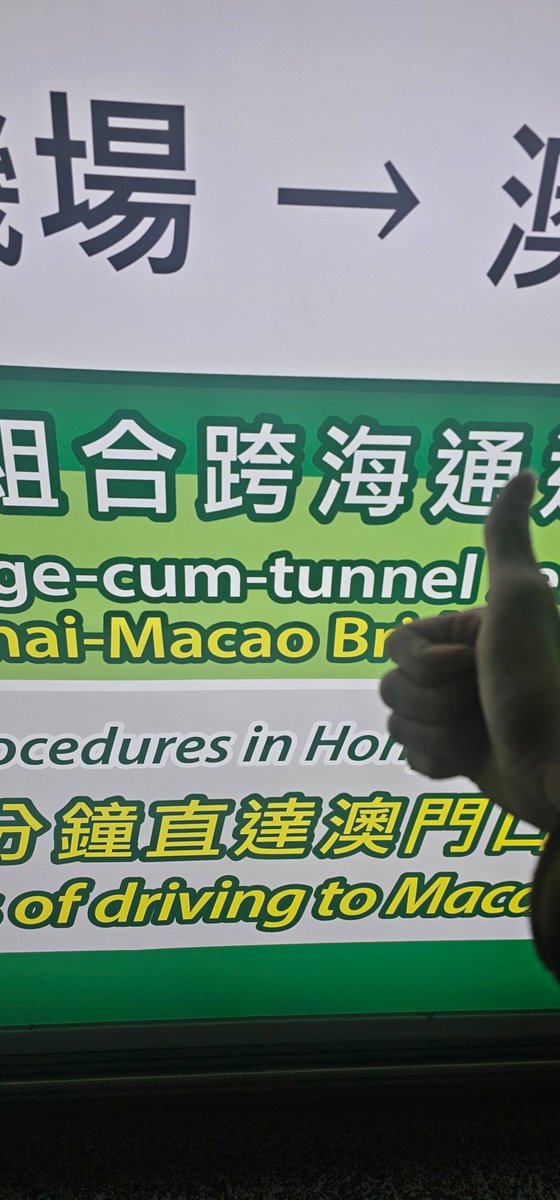 Tiny Mint Mutt 👩🏿🦼➡️ thailand tweet media