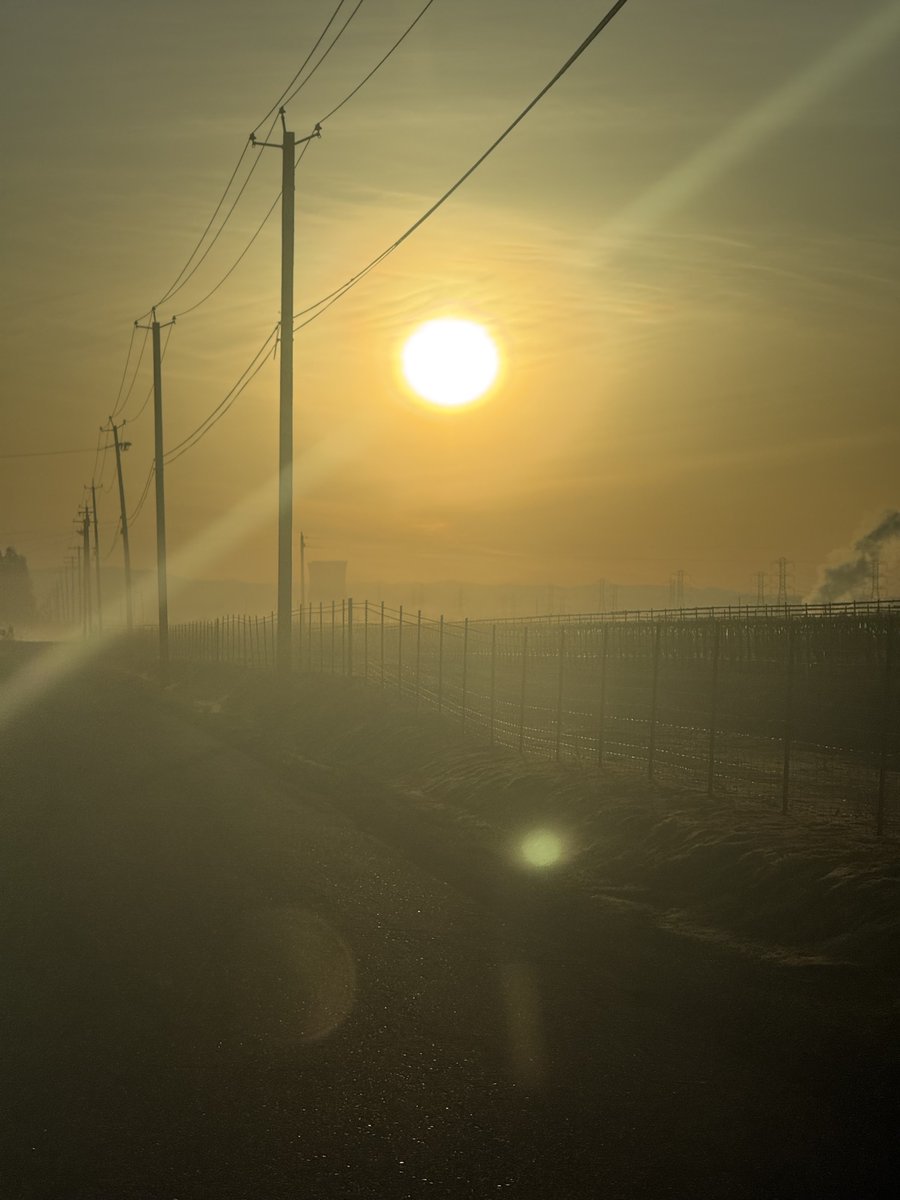 Acadius 𓃠𓃣 tweet media