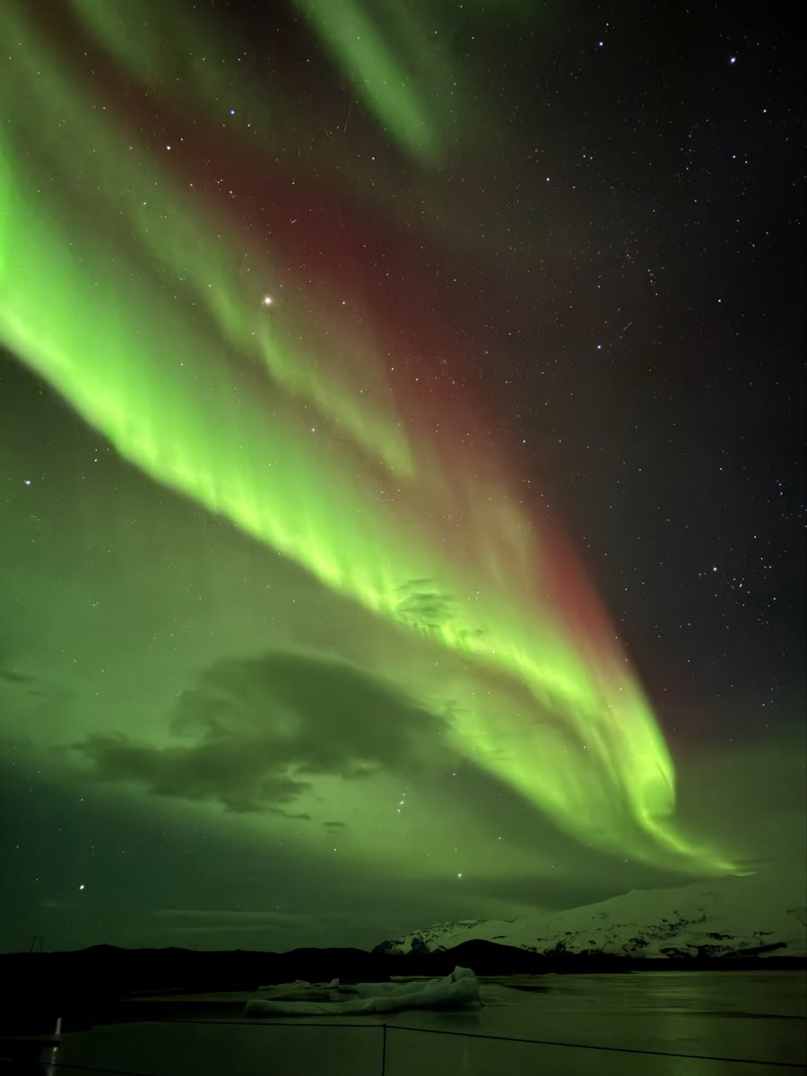 Rania // underflowR tweet media