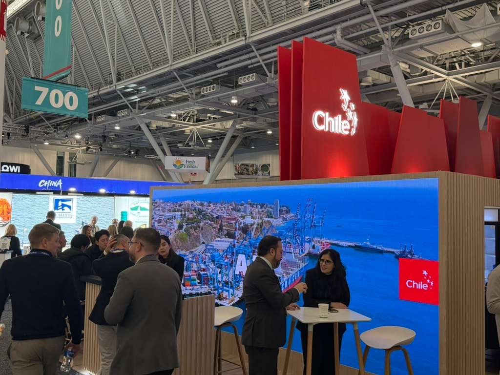 ProChile tweet media