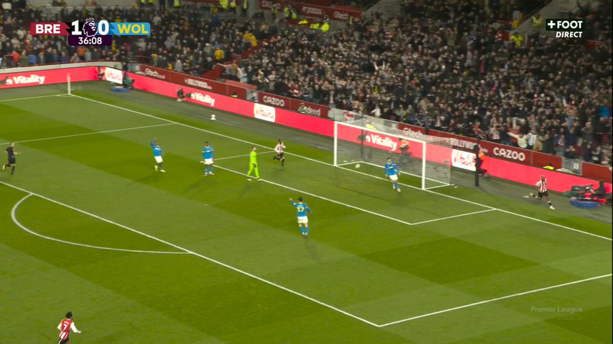 Wolves Actu France 🐺🇫🇷 tweet media