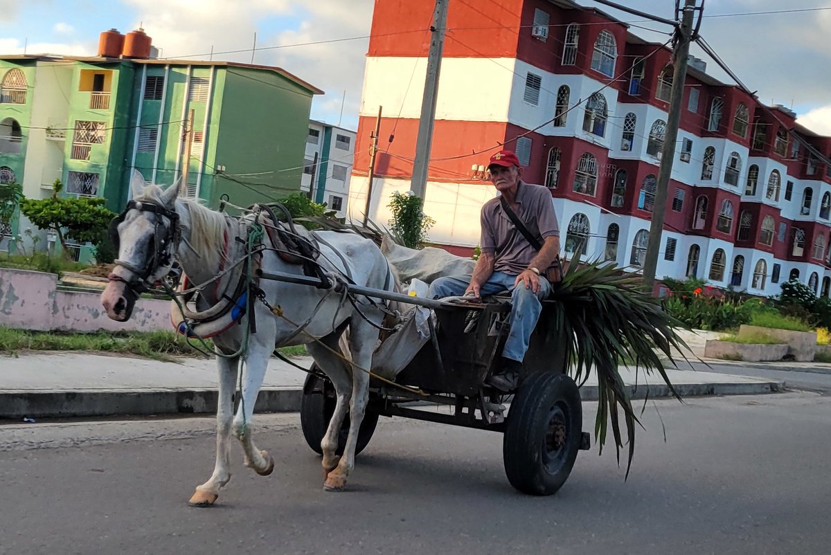 Obs de Envejecimiento, Cuidados y Derechos tweet media