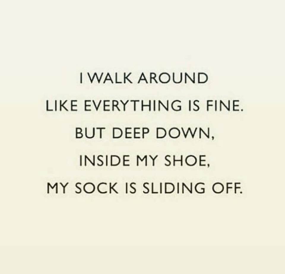 Doge Norway tweet media