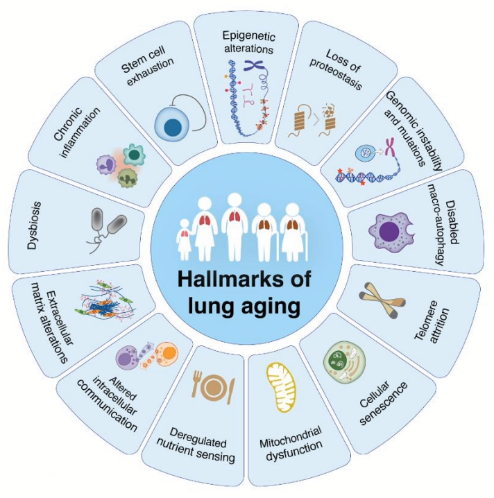 Frits Franssen tweet media