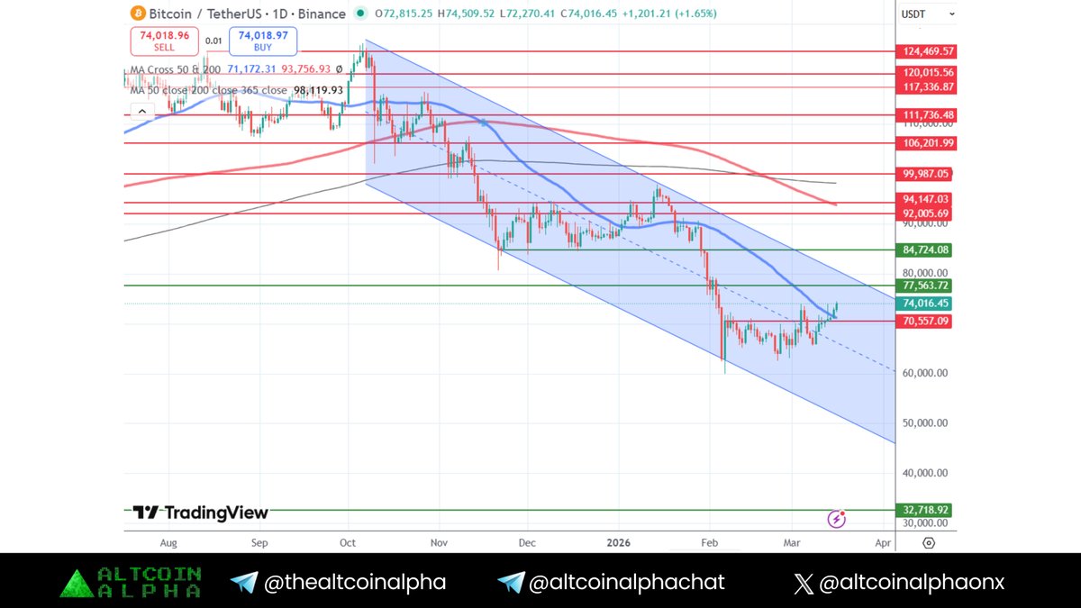 Altcoin Alpha tweet media