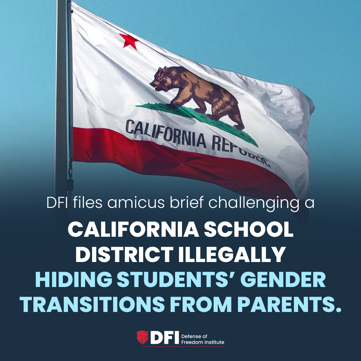 Defense of Freedom Institute tweet media